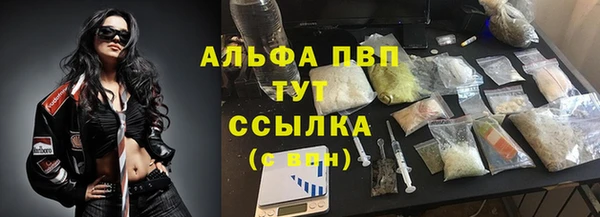 ПСИЛОЦИБИНОВЫЕ ГРИБЫ Инсар