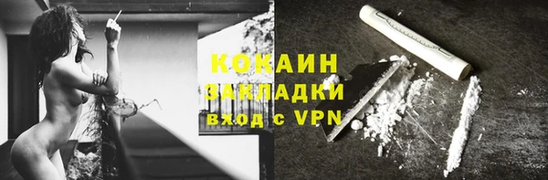 ПСИЛОЦИБИНОВЫЕ ГРИБЫ Инсар