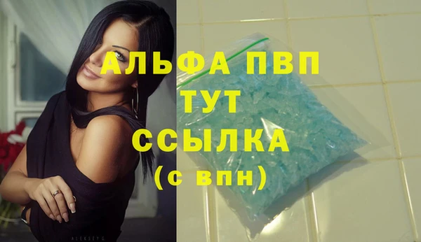 ПСИЛОЦИБИНОВЫЕ ГРИБЫ Инсар