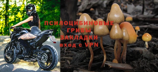 ПСИЛОЦИБИНОВЫЕ ГРИБЫ Инсар