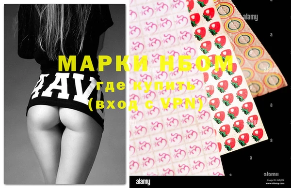 ПСИЛОЦИБИНОВЫЕ ГРИБЫ Инсар