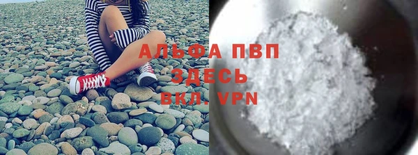 ПСИЛОЦИБИНОВЫЕ ГРИБЫ Инсар