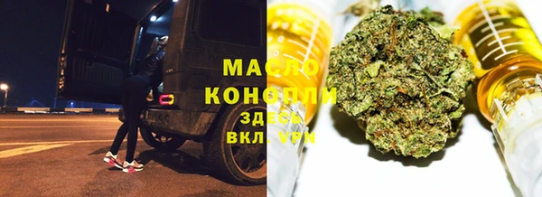ПСИЛОЦИБИНОВЫЕ ГРИБЫ Инсар