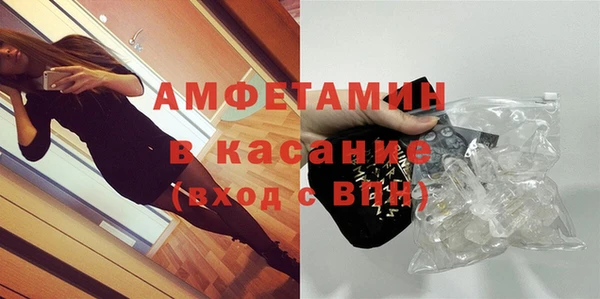 ПСИЛОЦИБИНОВЫЕ ГРИБЫ Инсар