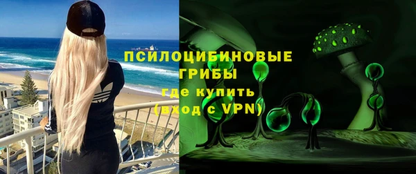 ПСИЛОЦИБИНОВЫЕ ГРИБЫ Инсар
